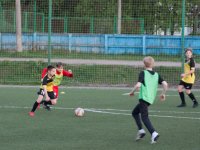 IMG_4271